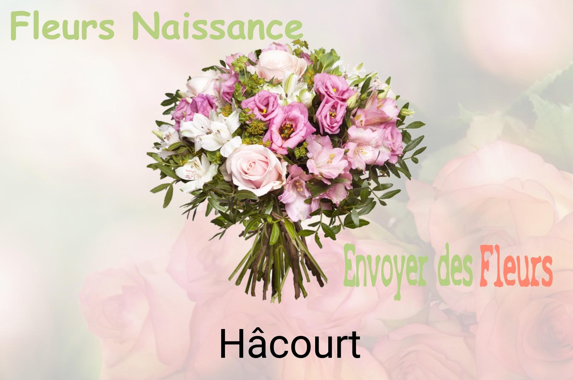 Bouquet de fleurs de naissance livré à Hâcourt
